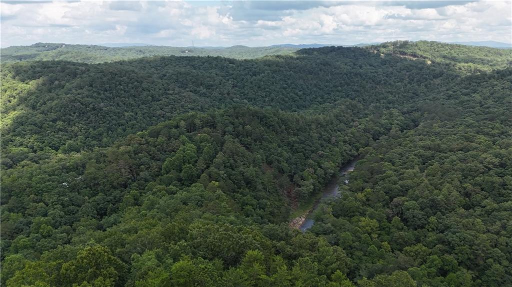 575 Galaxy Way Ranger, GA 30734 - Photo 2 of 12