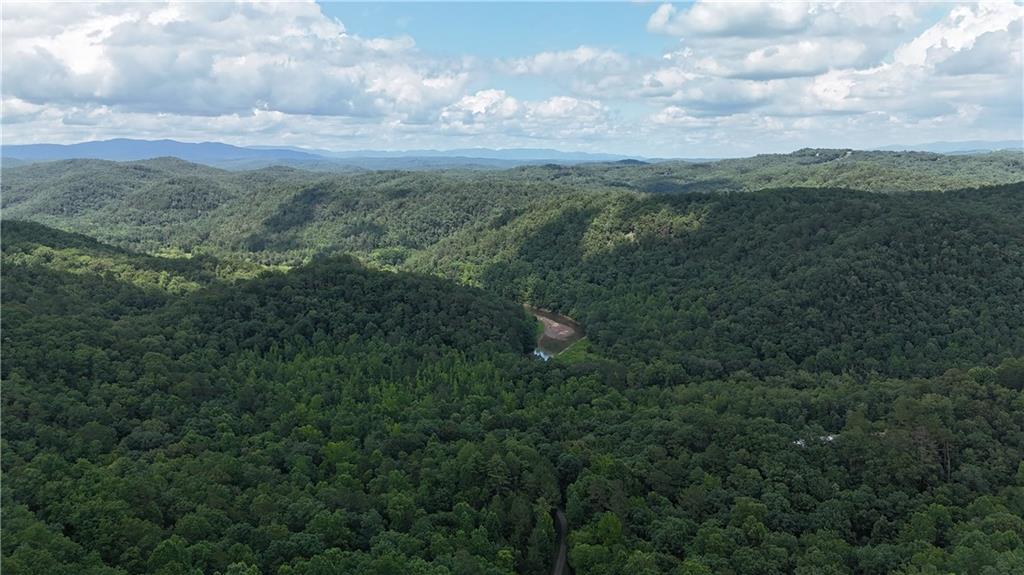 575 Galaxy Way Ranger, GA 30734 - Photo 3 of 12