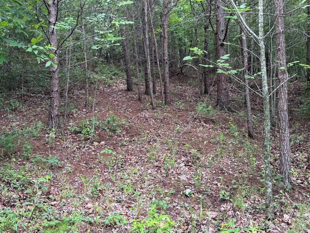 575 Galaxy Way Ranger, GA 30734 - Photo 5 of 12