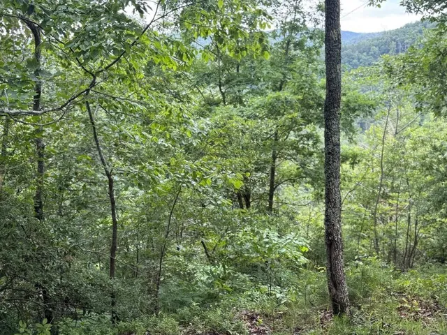 $50,000 | 575 Galaxy Way, Ranger, GA 30734