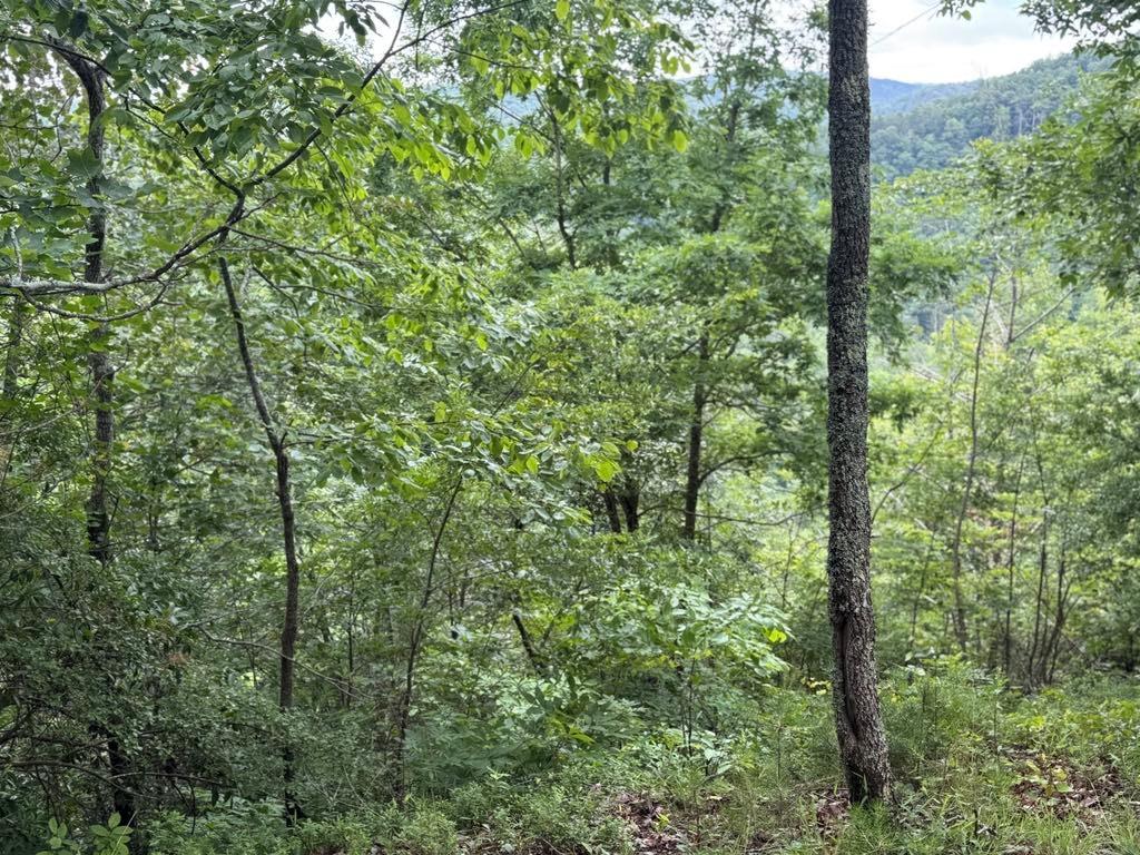 575 Galaxy Way Ranger, GA 30734 - Photo 7 of 12