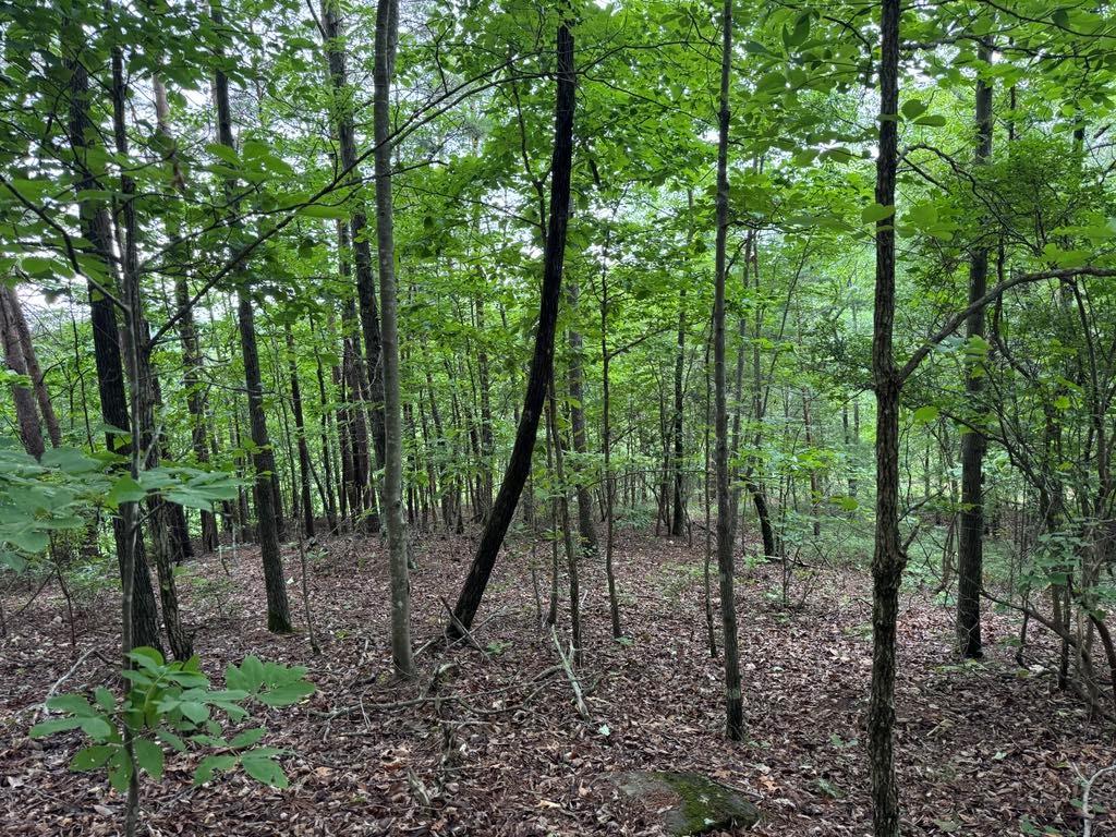 575 Galaxy Way Ranger, GA 30734 - Photo 8 of 12