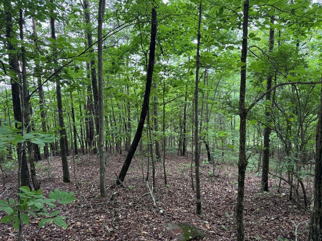 575 Galaxy Way Ranger, GA 30734 - Photo 9 of 12