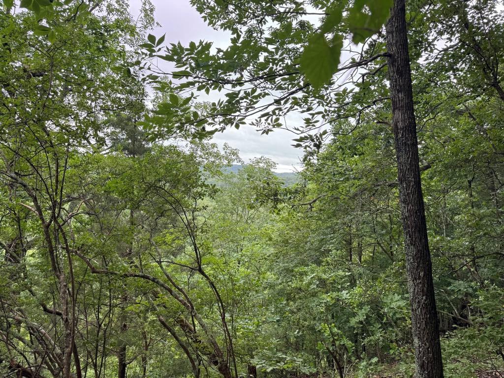 575 Galaxy Way Ranger, GA 30734 - Photo 10 of 12