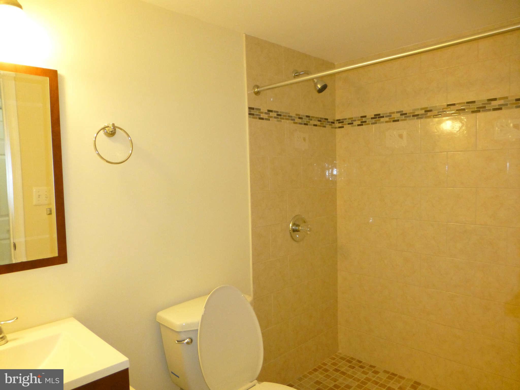 6100 Addison Road Capitol Heights, MD 20743 - Photo 14 of 30 Lower level new full bath with large shower stall
