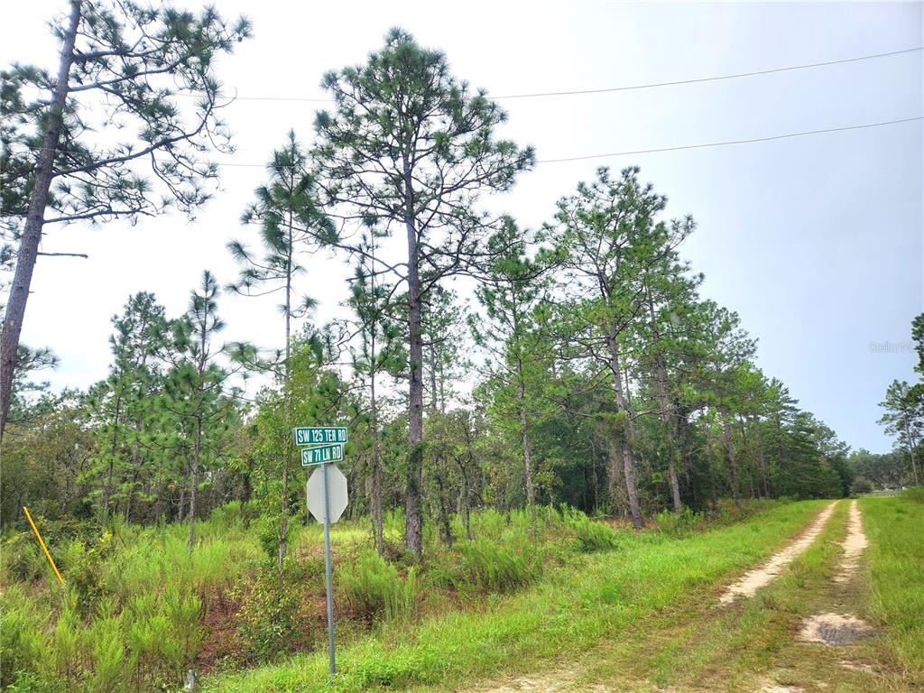 Tbd Southwest 125th Terrace Road Ocala, FL 34481 - Photo 1 of 1 Gallery Image 1