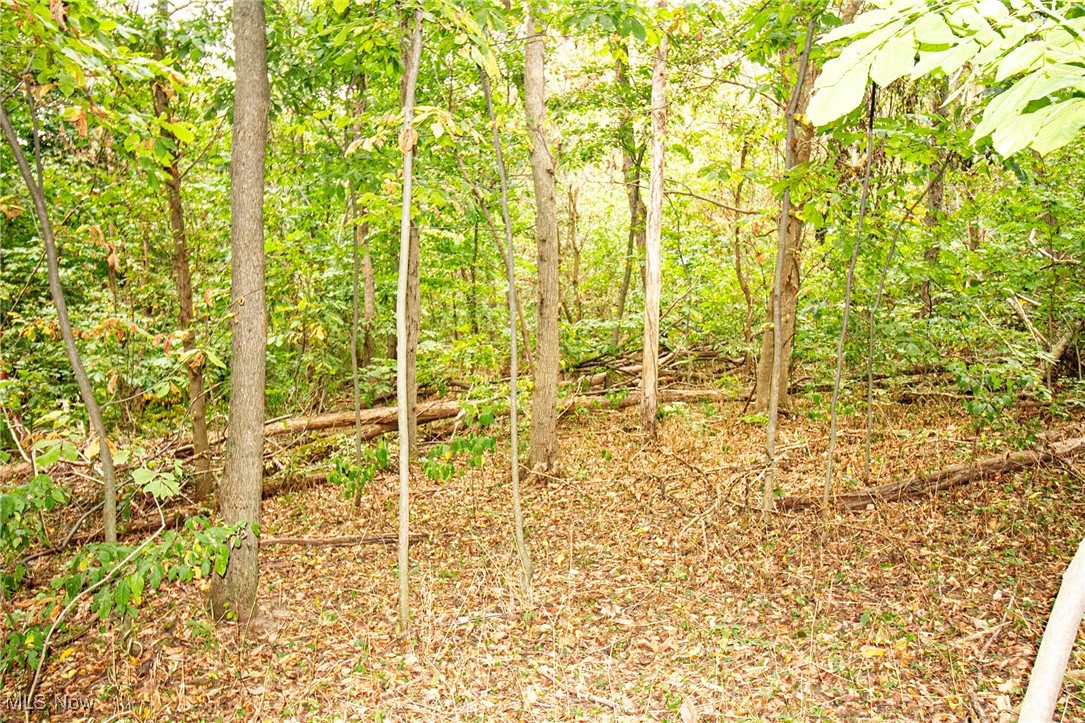 0 Douglas Road Quaker City, OH 43773 - Photo 24 of 27 View of nature