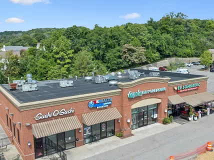 an aerial view of a yard
