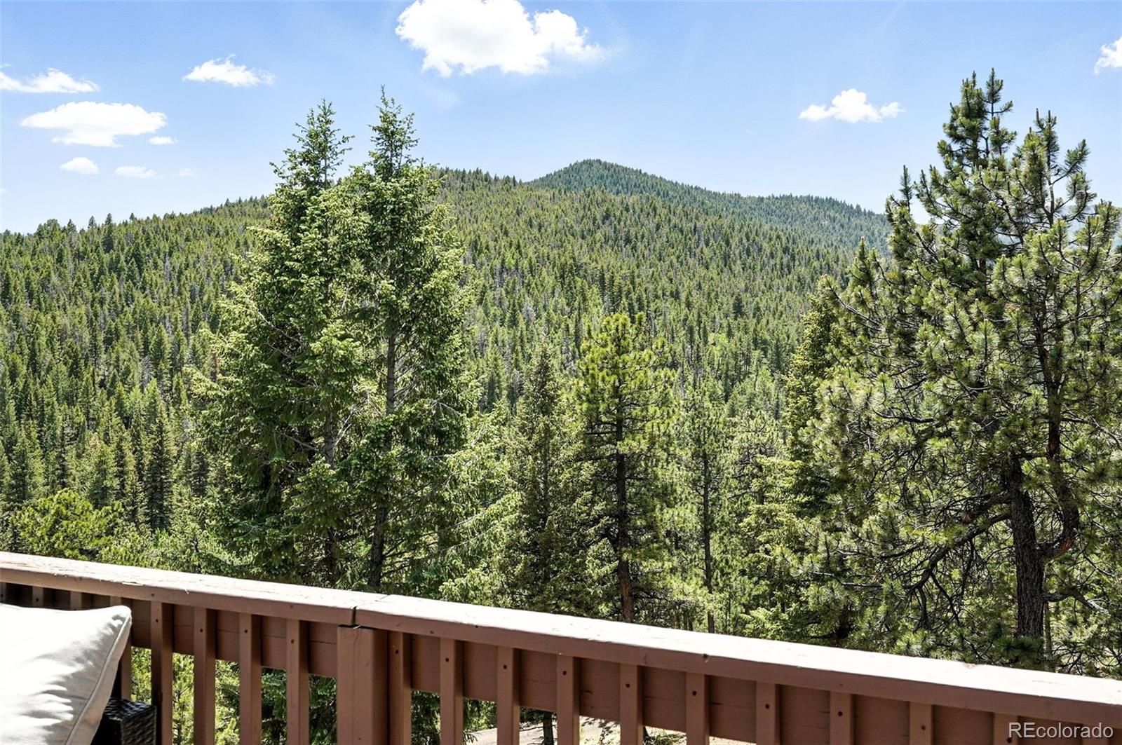7221 South Brook Forest Road Evergreen, CO 80439 - Photo 17 of 47 Gallery Image 17