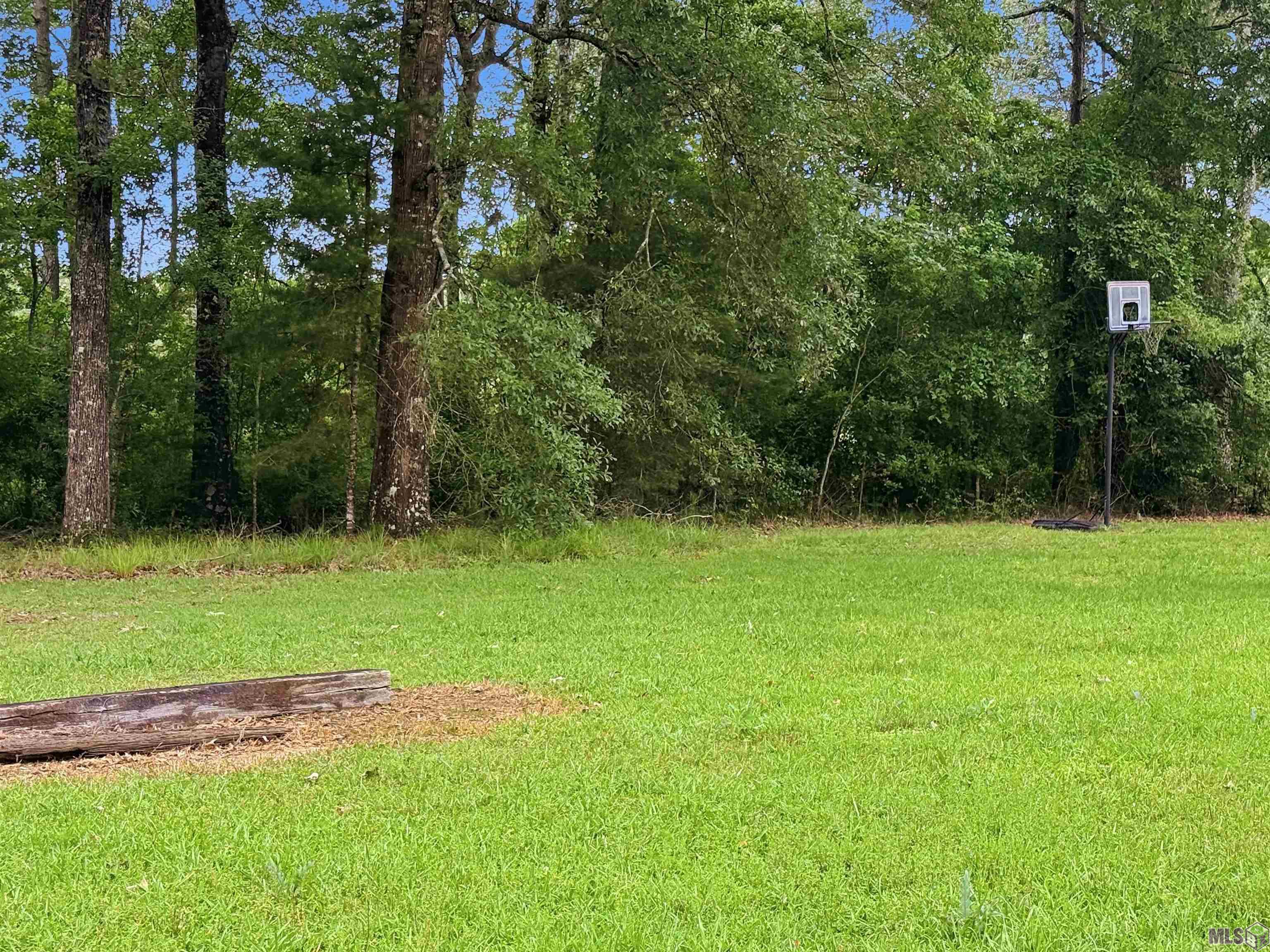 35081 North Corbin Road Walker, LA 70785 - Photo 4 of 11