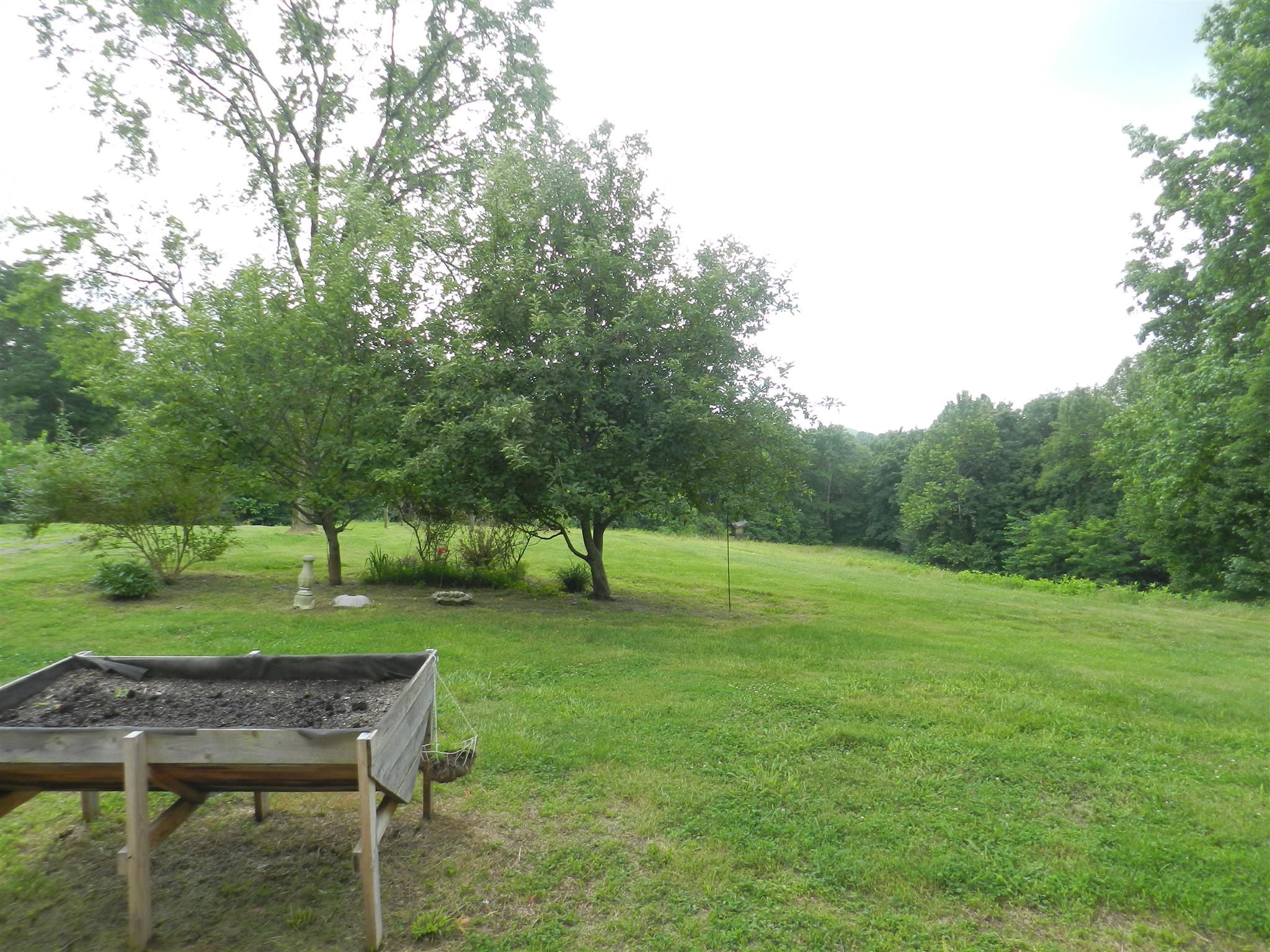 444 Dyer Cemetery Road Bloomington Springs, TN 38545 - Photo 11 of 21 Gallery Image 11