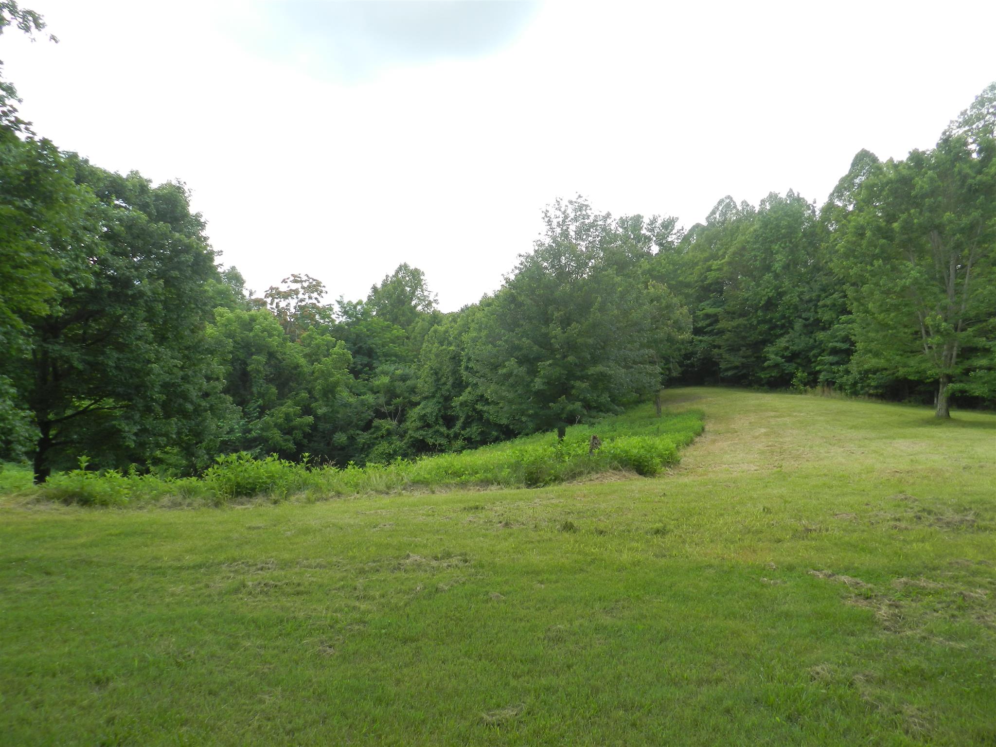 444 Dyer Cemetery Road Bloomington Springs, TN 38545 - Photo 7 of 21 Gallery Image 7
