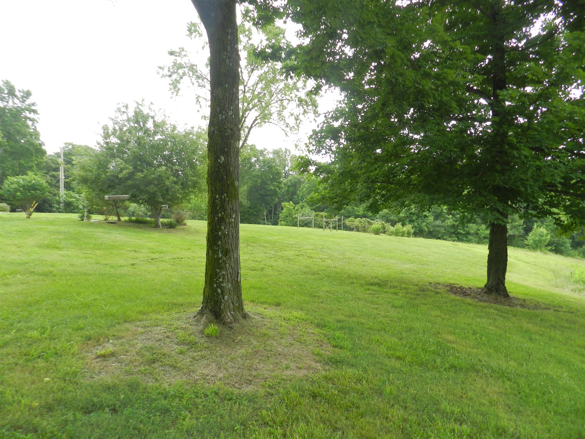 444 Dyer Cemetery Road Bloomington Springs, TN 38545 - Photo 8 of 21 Gallery Image 8