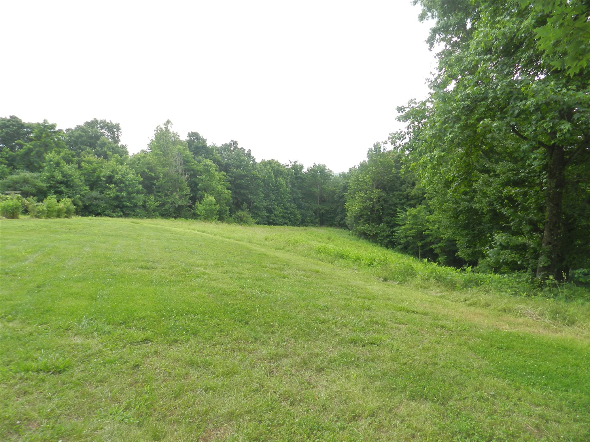 444 Dyer Cemetery Road Bloomington Springs, TN 38545 - Photo 9 of 21 Gallery Image 9
