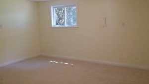 254 Seabury Road Bolingbrook, IL 60440 - Photo 3 of 12