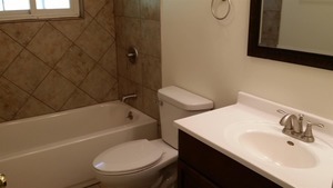 254 Seabury Road Bolingbrook, IL 60440 - Photo 7 of 12 a bathroom with a sink a toilet and a bathtub
