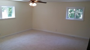 254 Seabury Road Bolingbrook, IL 60440 - Photo 9 of 12 an empty room with a window