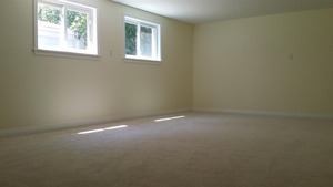 254 Seabury Road Bolingbrook, IL 60440 - Photo 10 of 12 a view of room and window