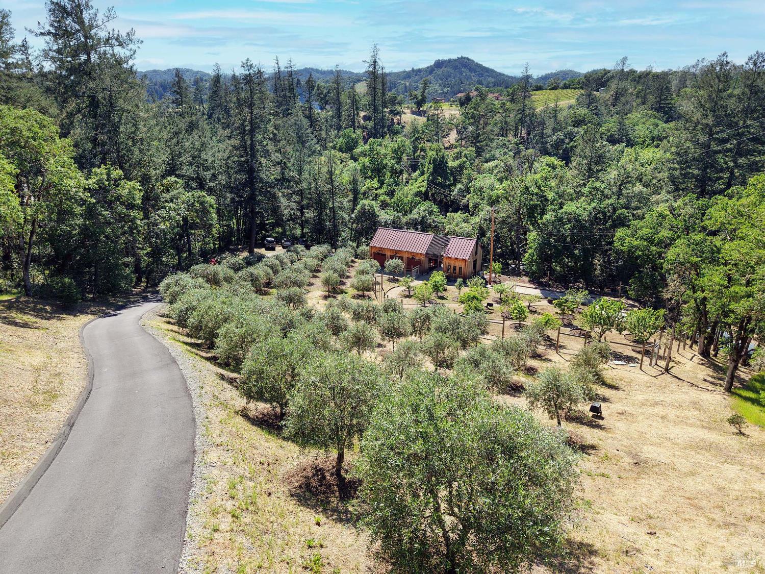 23200 Dutcher Creek Road Cloverdale, CA 95425 - Photo 39 of 48