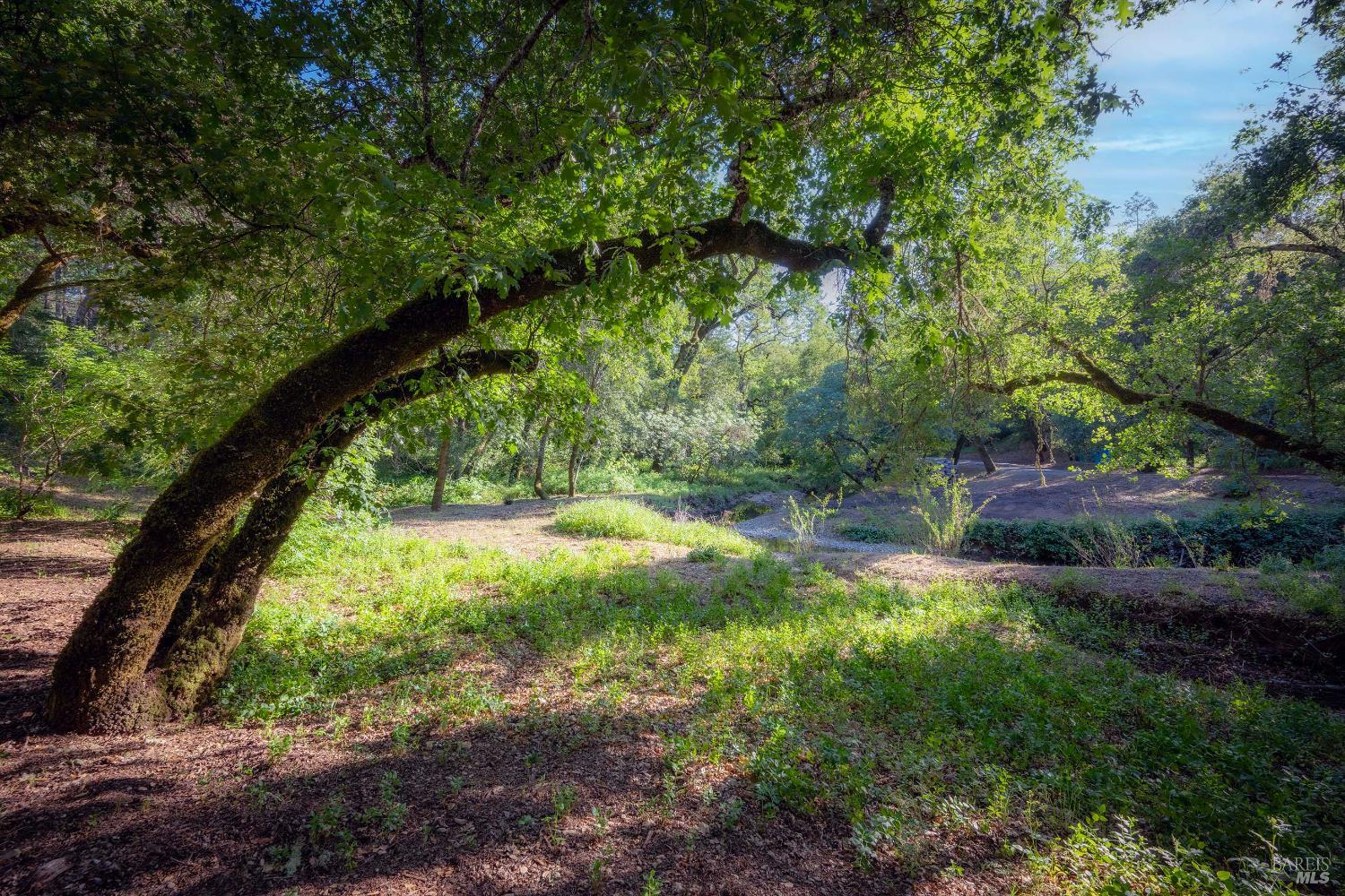 23200 Dutcher Creek Road Cloverdale, CA 95425 - Photo 48 of 48