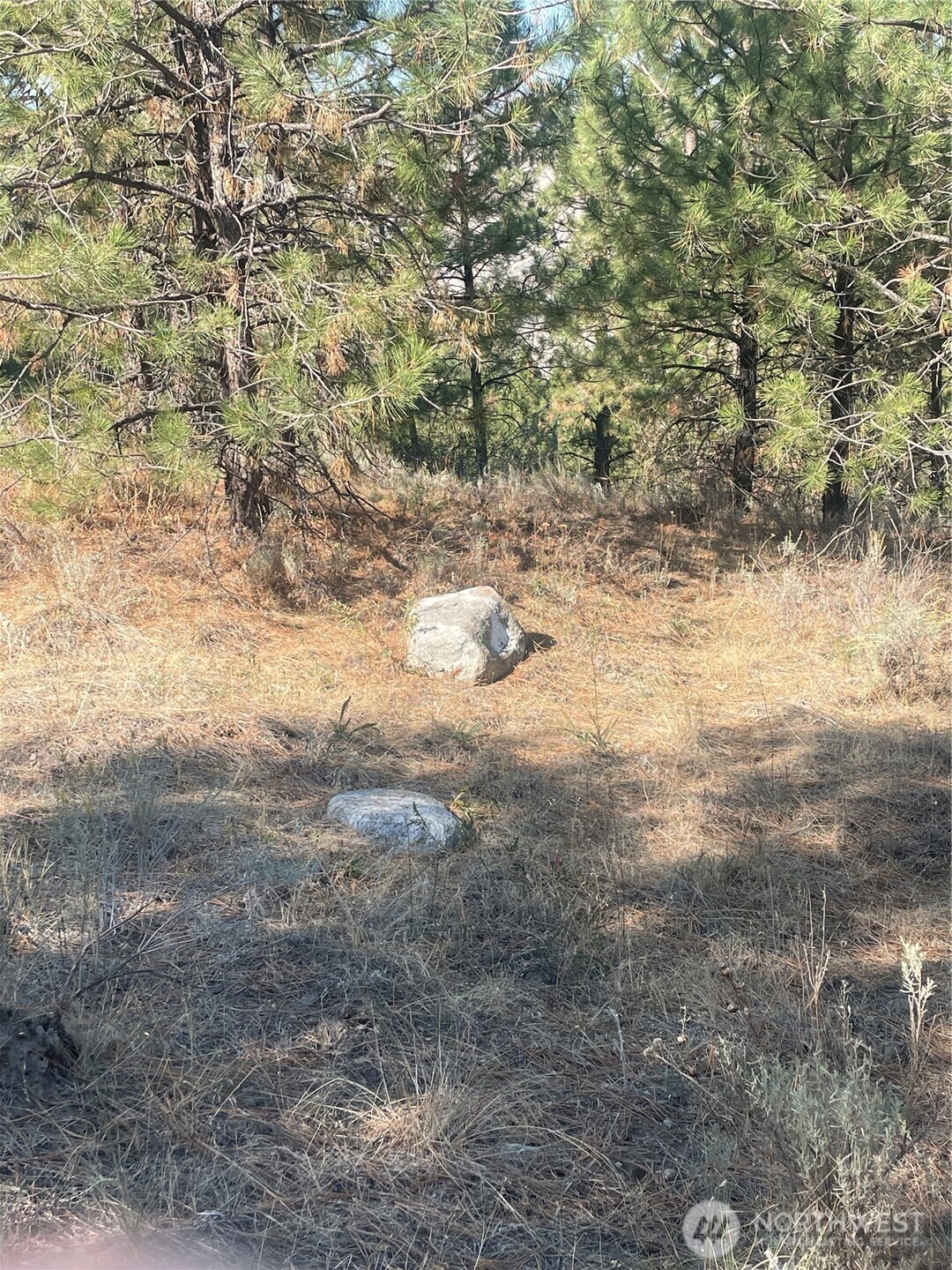 -tbd Reevas Basin Road Tonasket, WA 98855 - Photo 25 of 38
