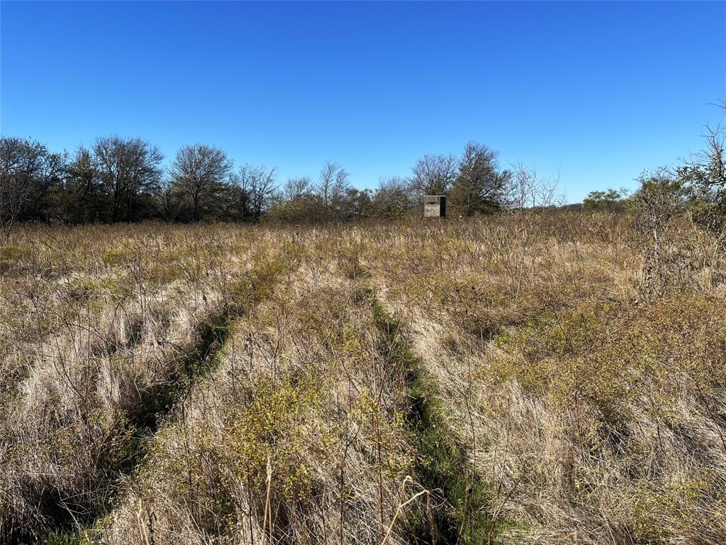 11 Old Tioga Road, Unit 22 ACRES Gunter, TX 75058 - Photo 2 of 6 a view of a lake in middle of forest