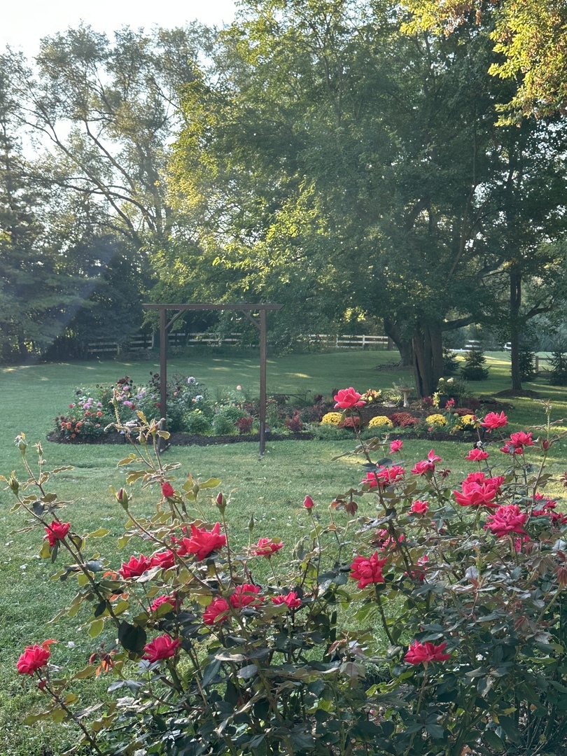 24331 North Kelsey Road Barrington, IL 60010 - Photo 42 of 63