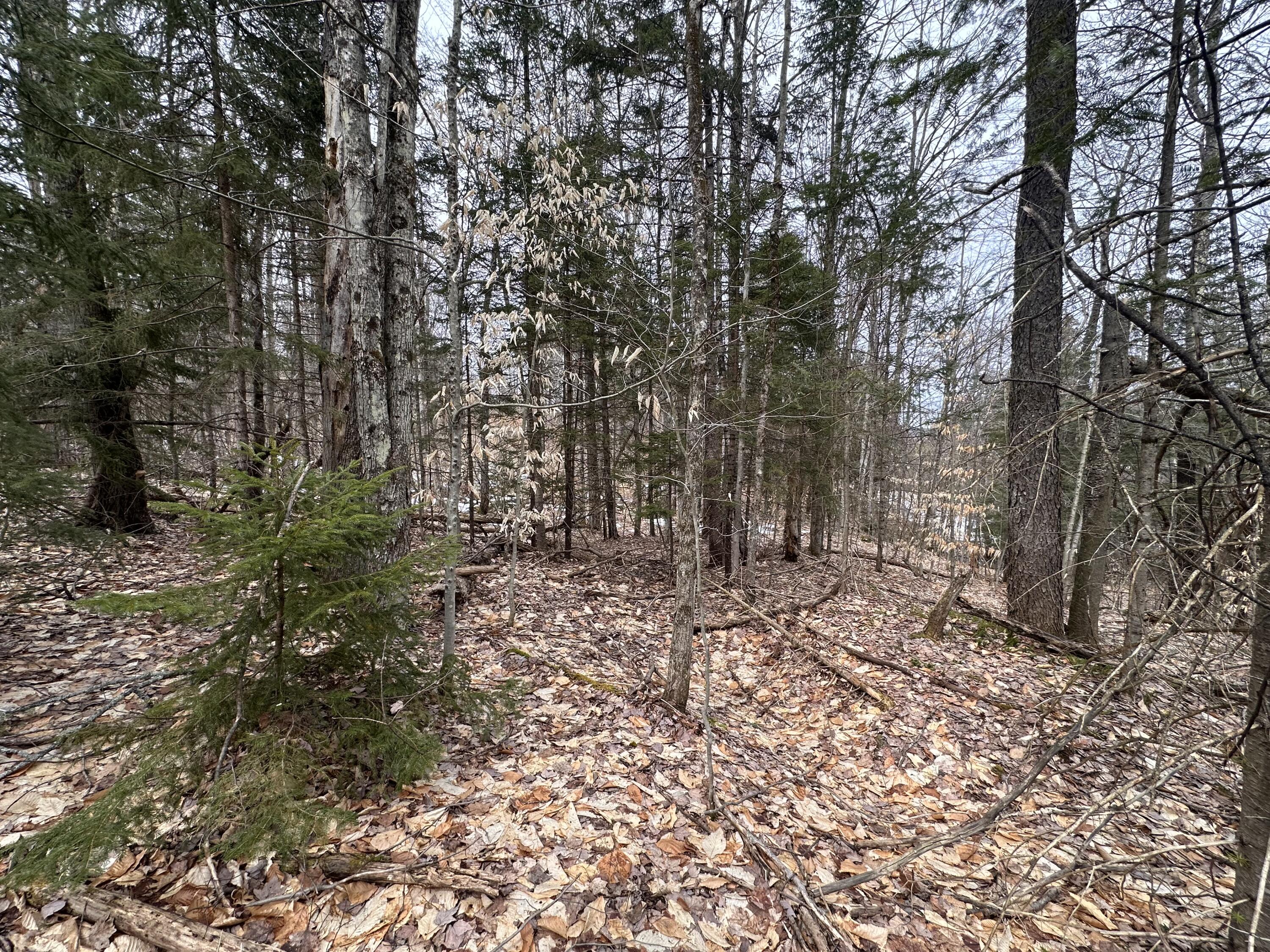0 Johnson Road Malone, NY 12953 - Photo 5 of 29