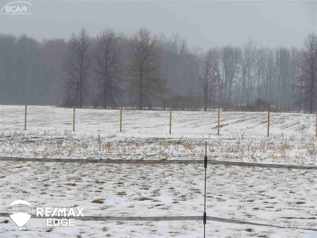 11380 West Frances Road Flushing, MI 48433 - Photo 34 of 47 Gallery Image 34