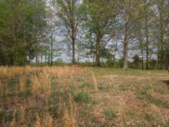 565 Sunset Ridge Lane Hilham, TN 38568 - Photo 1 of 20 Gallery Image 1
