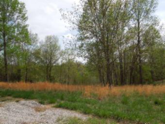 565 Sunset Ridge Lane Hilham, TN 38568 - Photo 14 of 20 Gallery Image 14