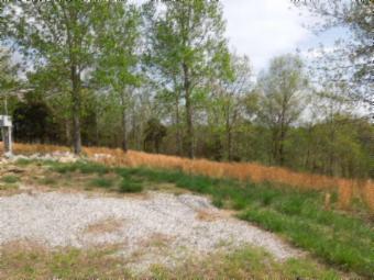 565 Sunset Ridge Lane Hilham, TN 38568 - Photo 15 of 20 Gallery Image 15