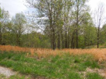 565 Sunset Ridge Lane Hilham, TN 38568 - Photo 16 of 20 Gallery Image 16