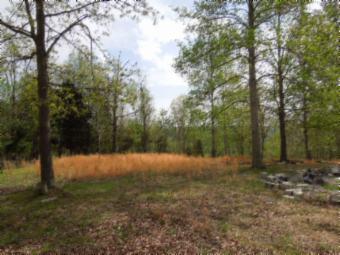 565 Sunset Ridge Lane Hilham, TN 38568 - Photo 19 of 20 Gallery Image 19