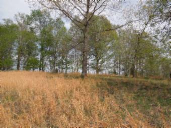 565 Sunset Ridge Lane Hilham, TN 38568 - Photo 20 of 20 Gallery Image 20