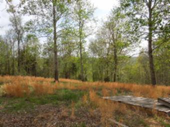 565 Sunset Ridge Lane Hilham, TN 38568 - Photo 8 of 20 Gallery Image 8