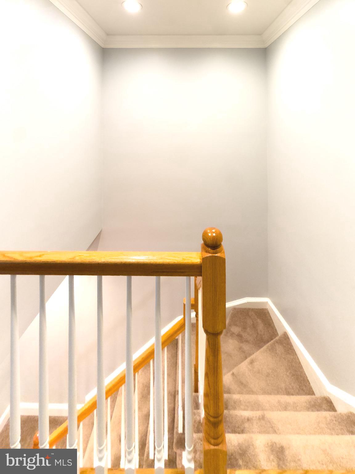 2419 Ansdel Court Reston, VA 20191 - Photo 34 of 41 a close view of tap