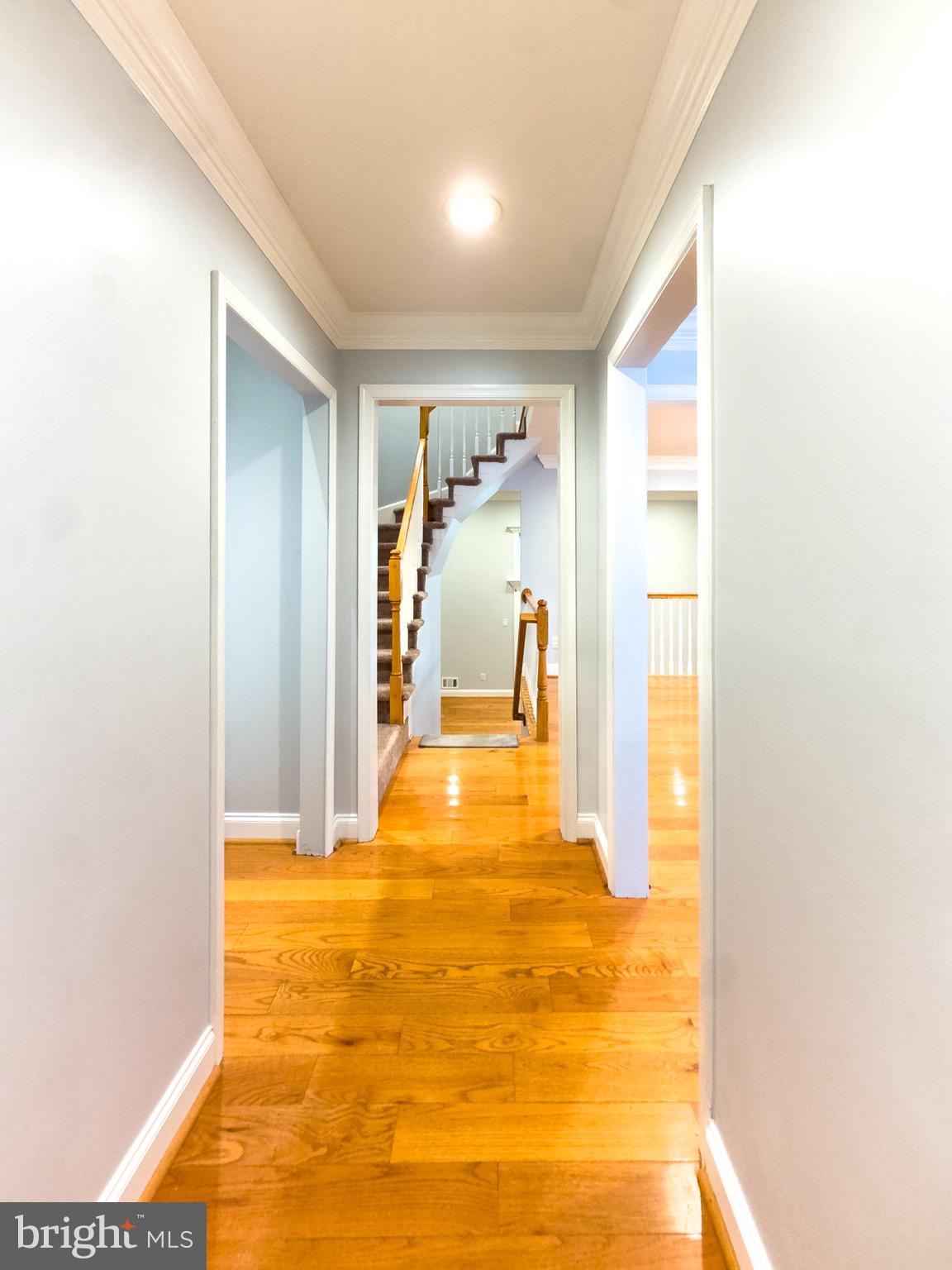 2419 Ansdel Court Reston, VA 20191 - Photo 5 of 41 a view of livingroom with furniture