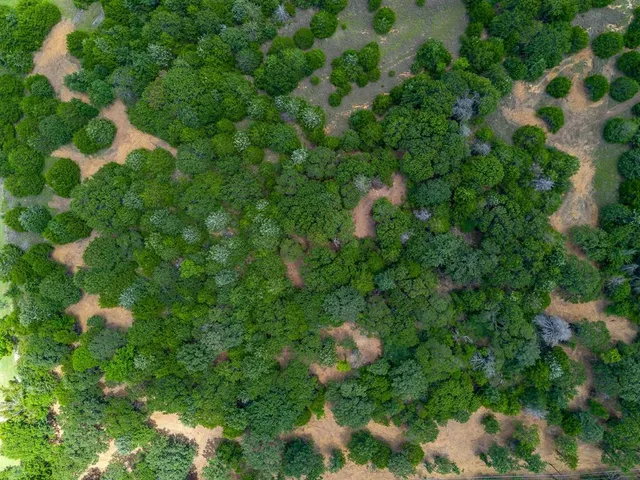 a view of a house with a tree