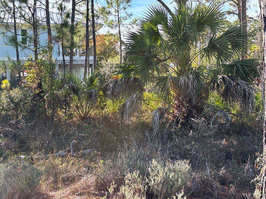 1012 Porter Street St. George Island, FL 32328 - Photo 10 of 22