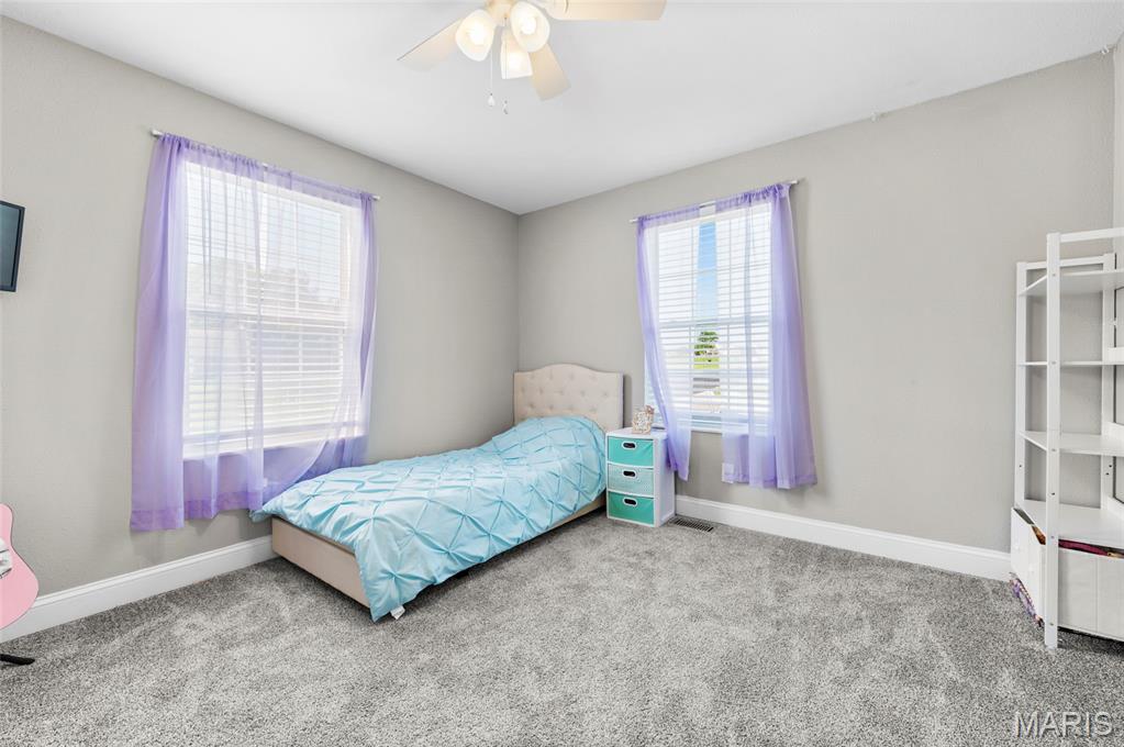 100 Willow Ridge Valmeyer, IL 62295 - Photo 23 of 40 Gallery Image 23