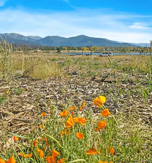 a view of lake and mountain