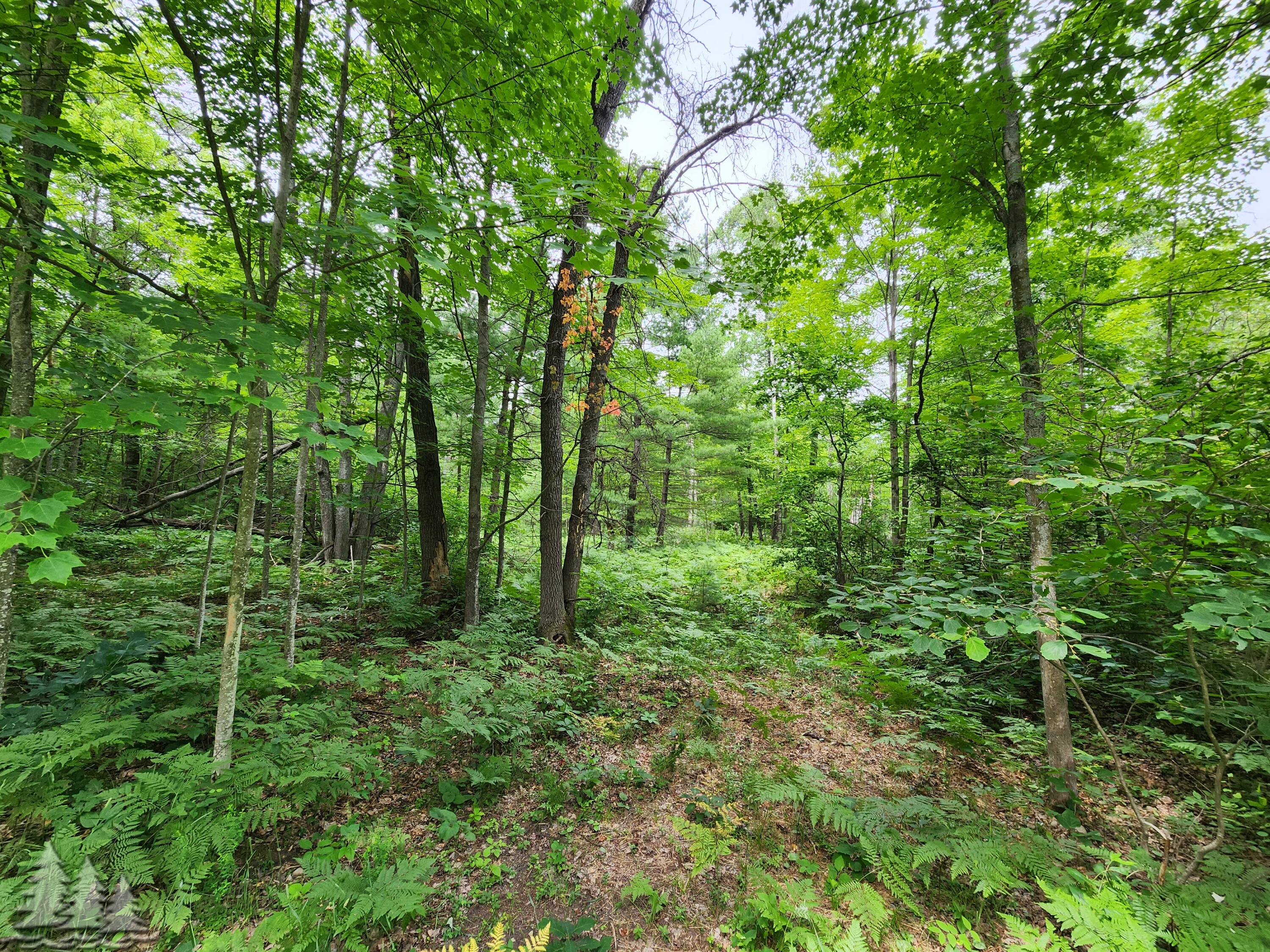 2 Grandview Road Lewiston, MI 49756 - Photo 1 of 8 Gallery Image 1
