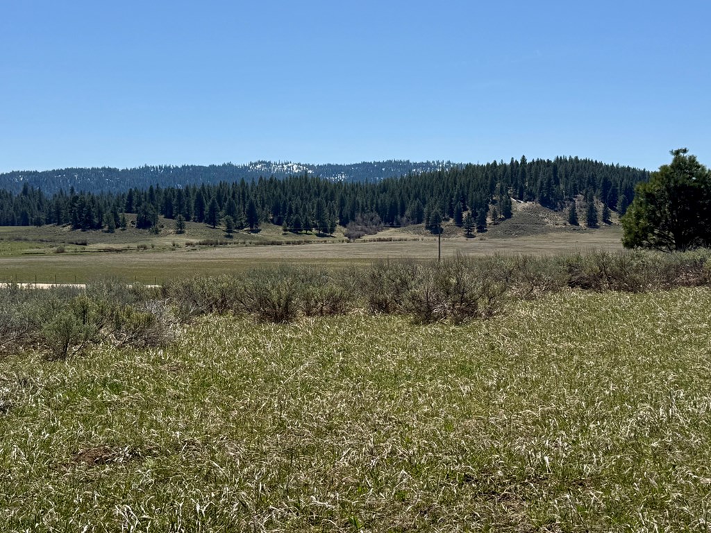 L3-b1 Lantern Way, Unit 3 Cascade, ID 83611 - Photo 3 of 15 Build Site Sits Above Roads for Privacy