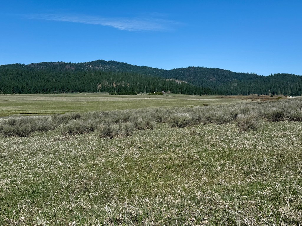L3-b1 Lantern Way, Unit 3 Cascade, ID 83611 - Photo 4 of 15 Gentle Slope Leads to Build Site