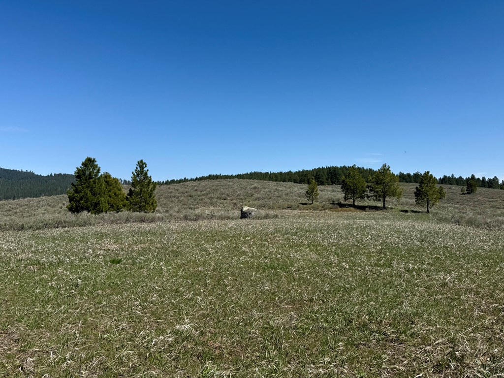 L3-b1 Lantern Way, Unit 3 Cascade, ID 83611 - Photo 8 of 15 Birdseye View at Top of Lot