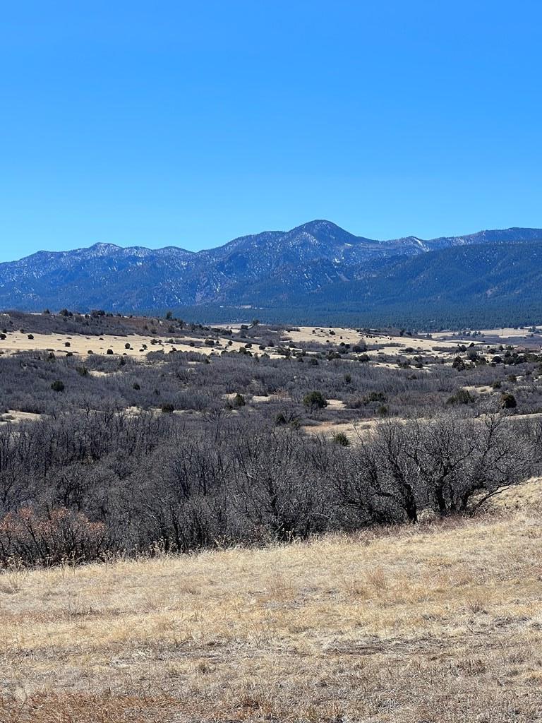 Lot 381 Big Bend Rye, CO 81069 - Photo 17 of 19 Gallery Image 17