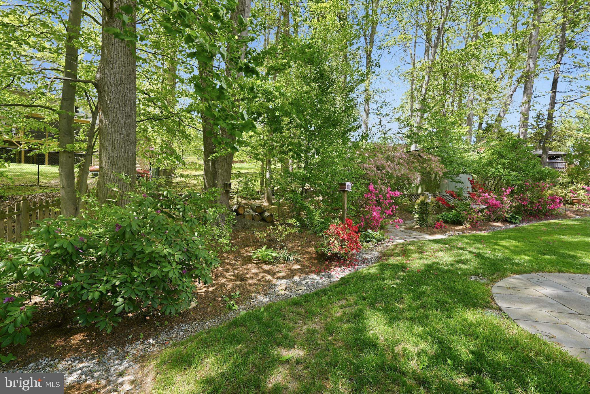 7006 Barnack Drive Springfield, VA 22152 - Photo 56 of 56 a view of a tree in front of a house
