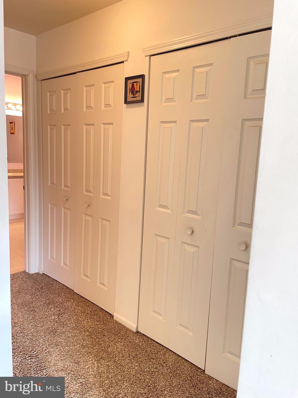 3 Foxton Drive Atco, NJ 08004 - Photo 19 of 37 Additional Main Bedroom closets