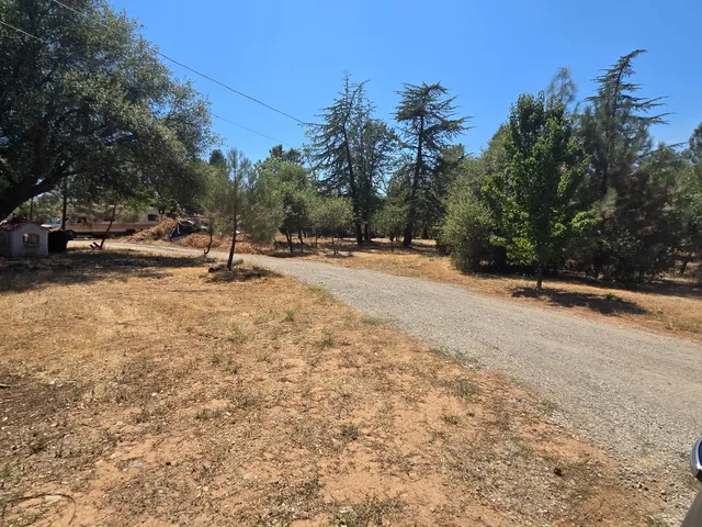 a view of a yard with a tree